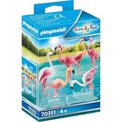 Image PM70351 Flock of Flamingos