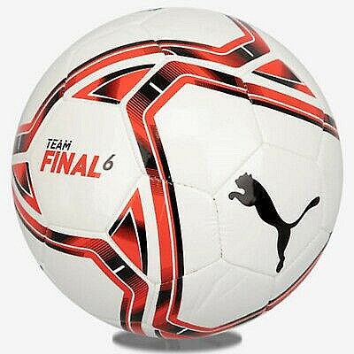 Image Minge Fotbal Puma team FINAL 21.6 MS Ball Puma White-Rose R Unisex Puma WhiteRose Red