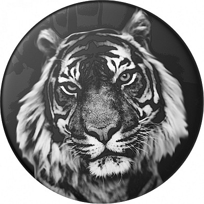 Image PopSockets Fur Baby original 801728