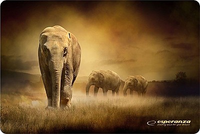 Image Mouse Pad Esperanza EA133 Different Patterns